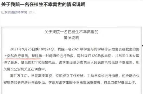 山东最新爆料事件视频大全,揭秘多起社会热点瞬间